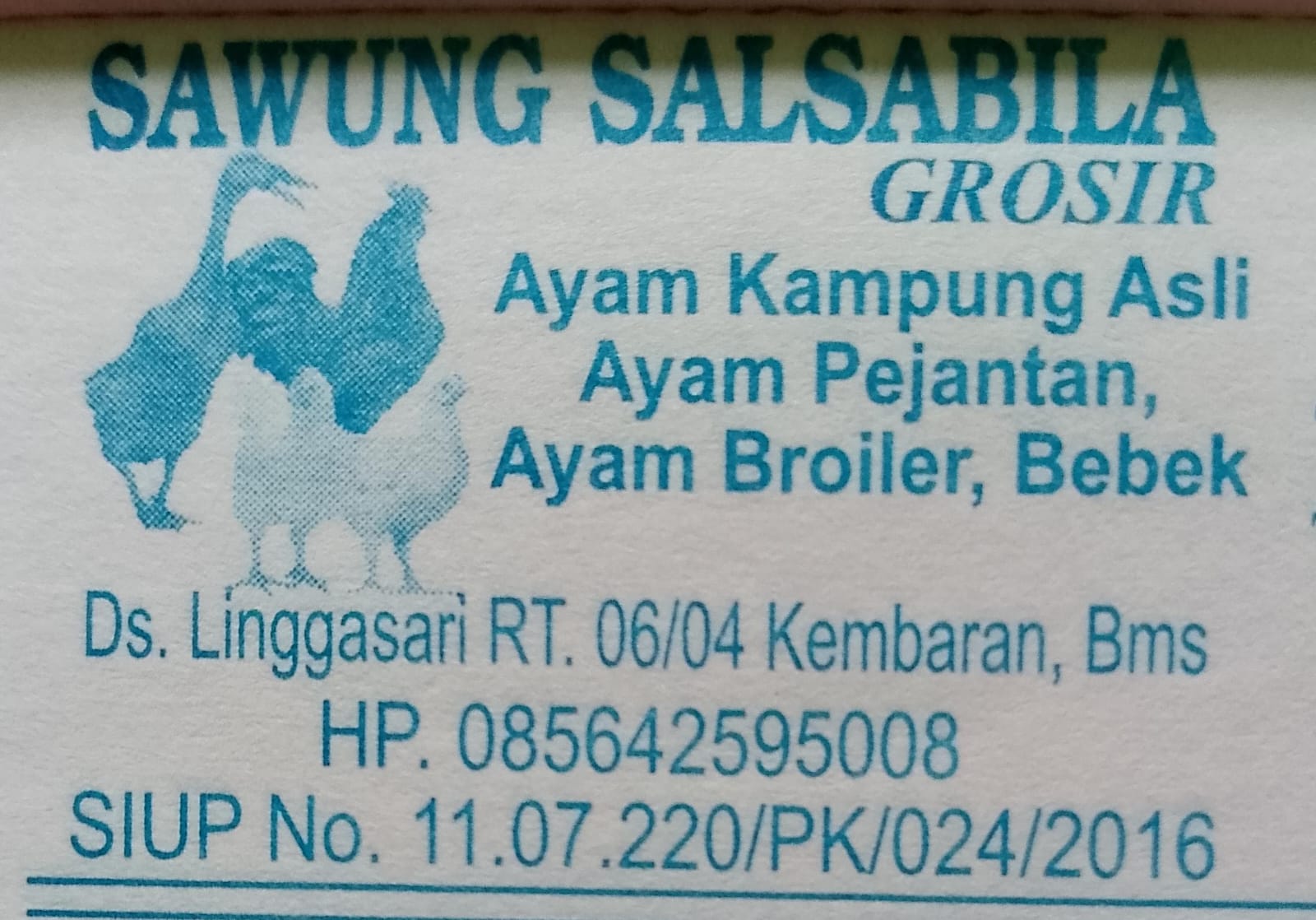 Sawung Salsabila Optimalkan Layanan Daging Unggas Halal di Banyumas Menyambut Lonjakan Akhir Tahun