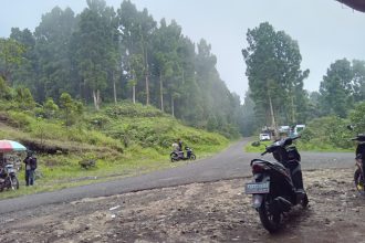 11 Daya Tarik Menakjubkan Candi Borobudur Magelang yang Wajib Anda Ketahui